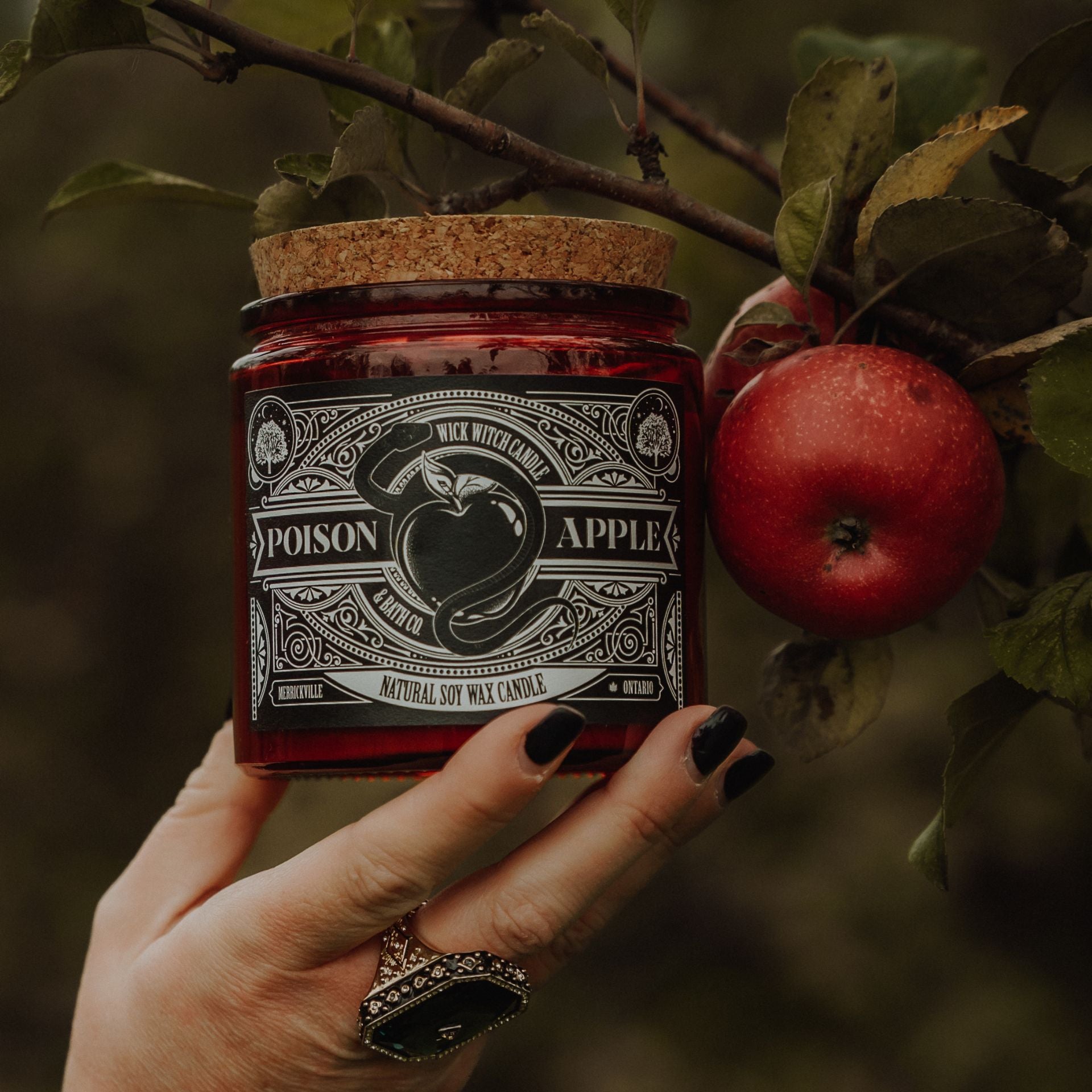 POISON APPLE SOY CANDLE