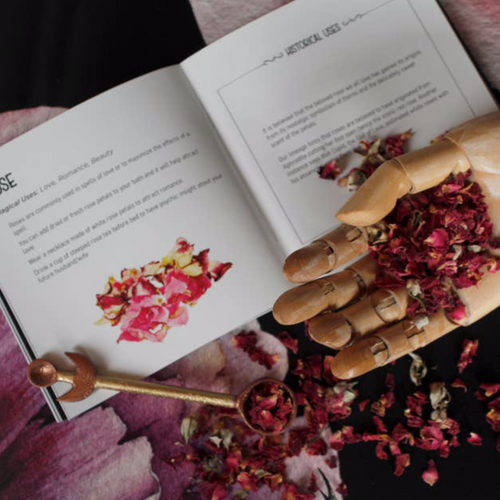 SPELL CRAFT MOON SPOON