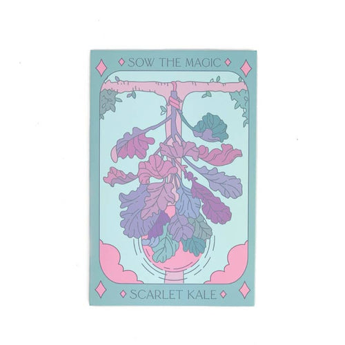 Scarlet Kale Tarot  Seed Packet